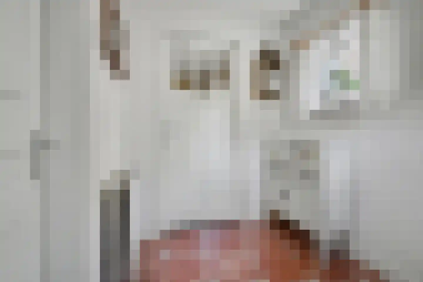 Weebosserweg 12 Bergeijk thumbnail 28