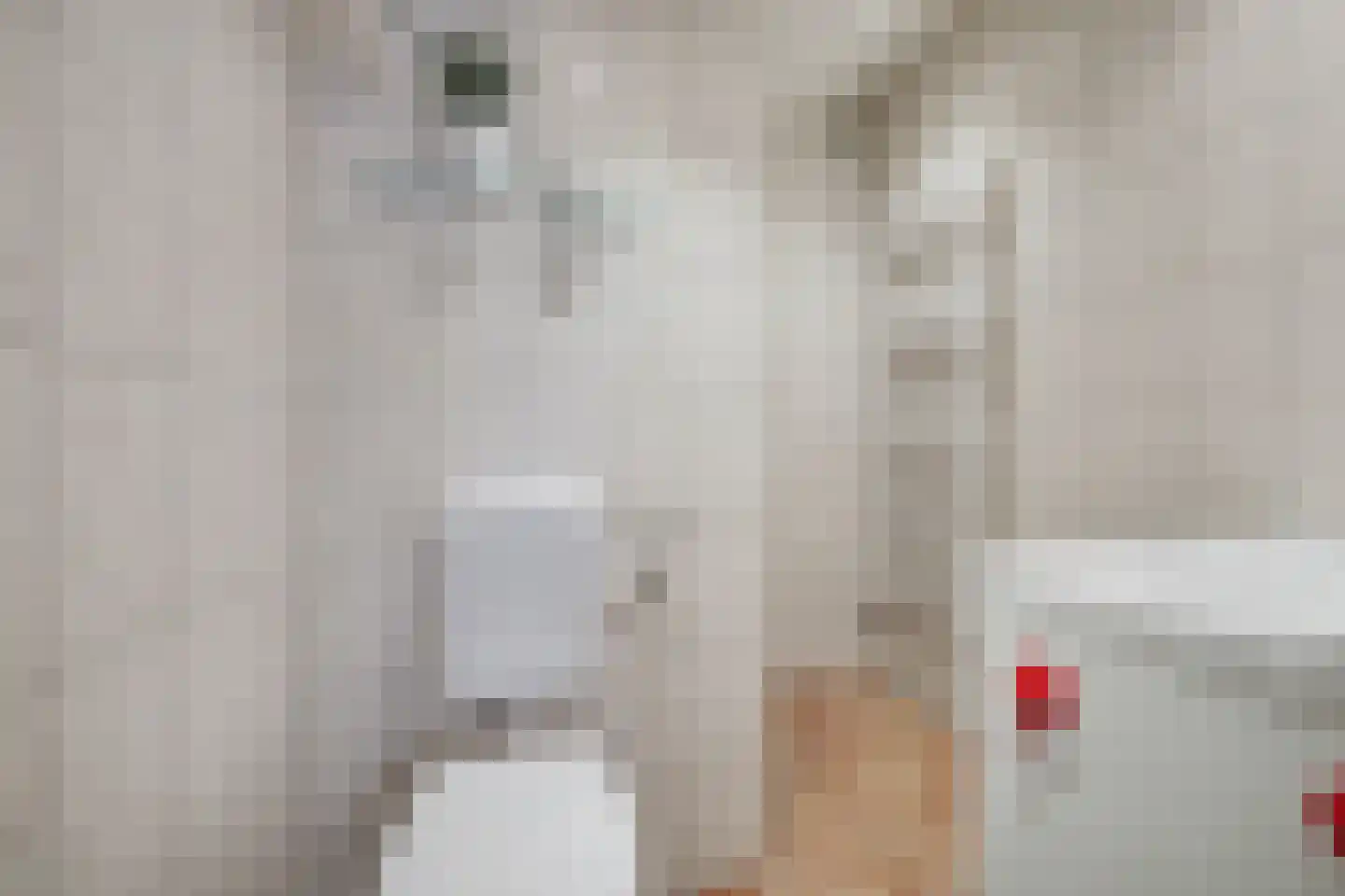 Weebosserweg 12 Bergeijk thumbnail 29
