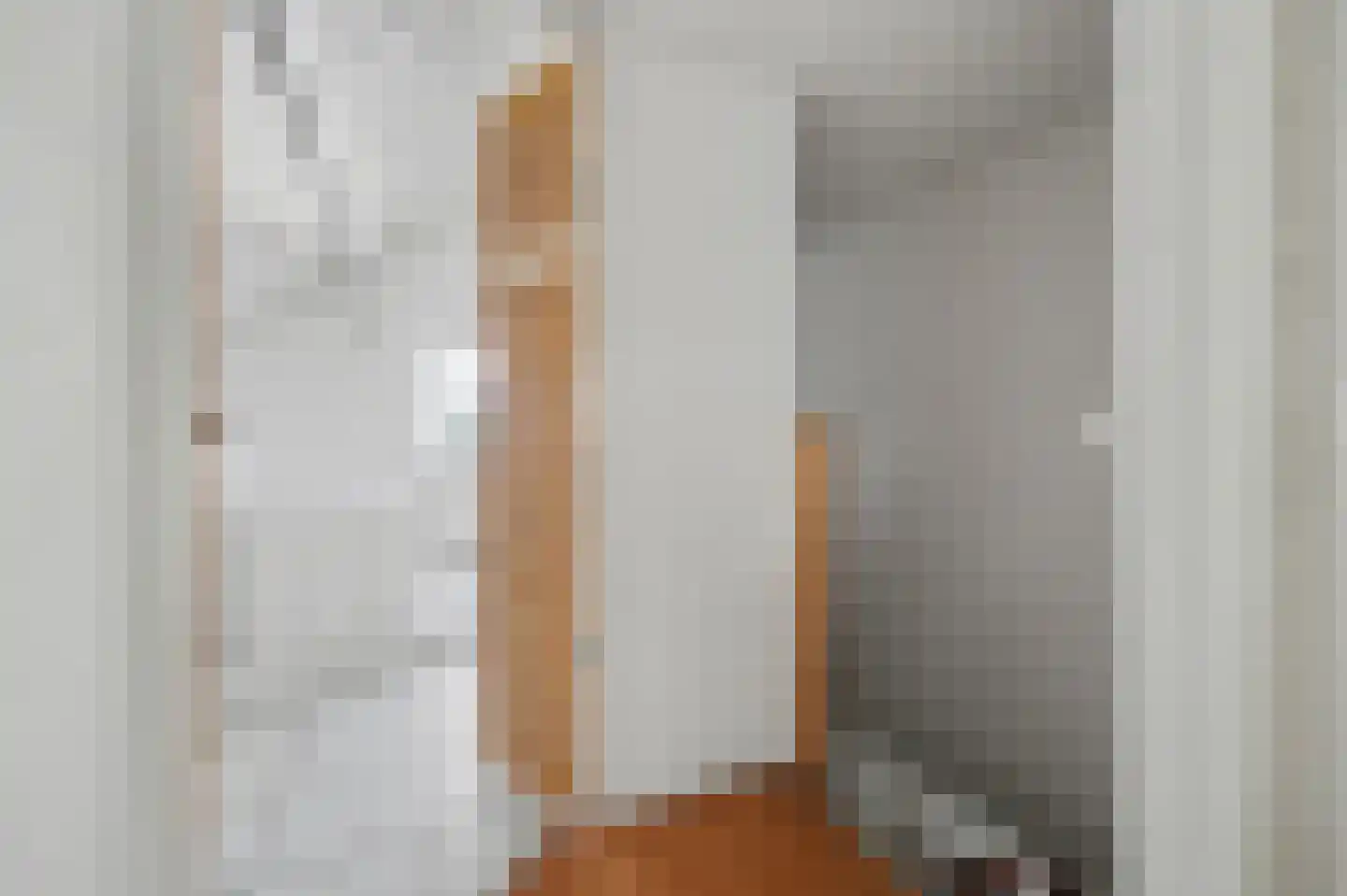 Weebosserweg 12 Bergeijk thumbnail 36