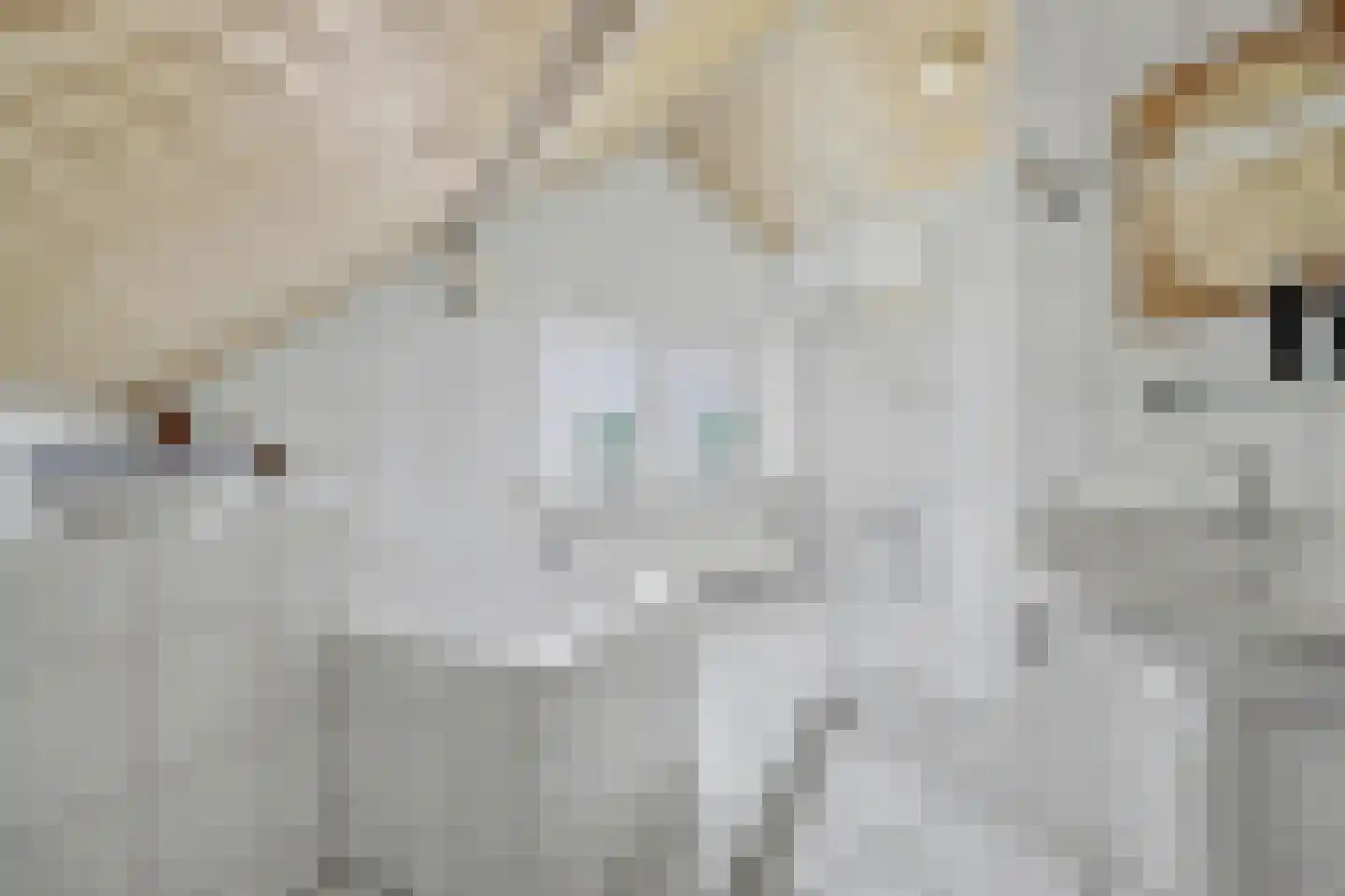 Weebosserweg 12 Bergeijk thumbnail 37