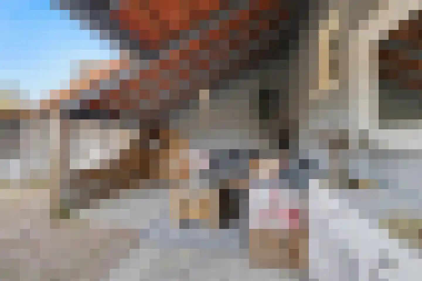 Weebosserweg 12 Bergeijk thumbnail 45