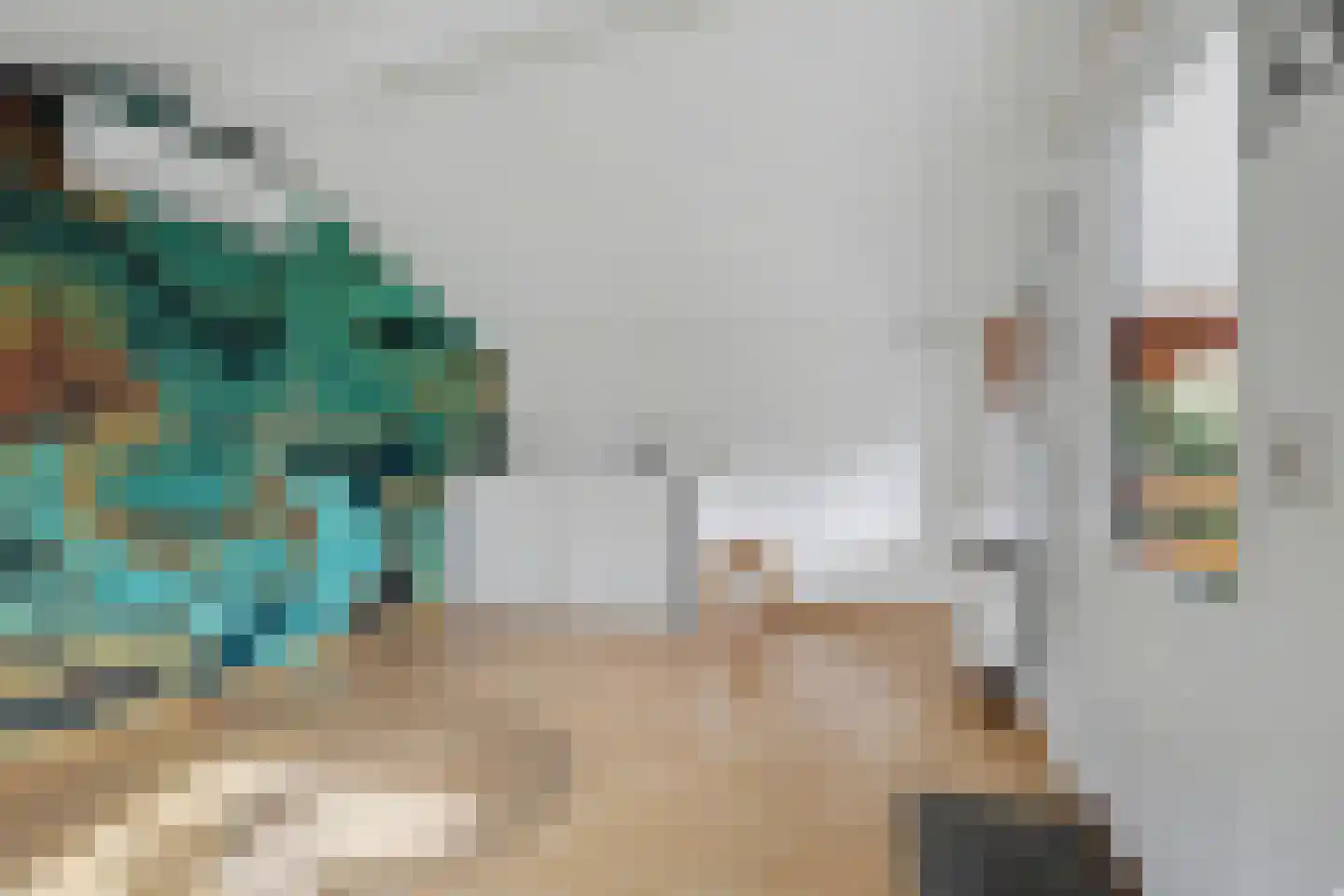 Weebosserweg 12 Bergeijk thumbnail 51