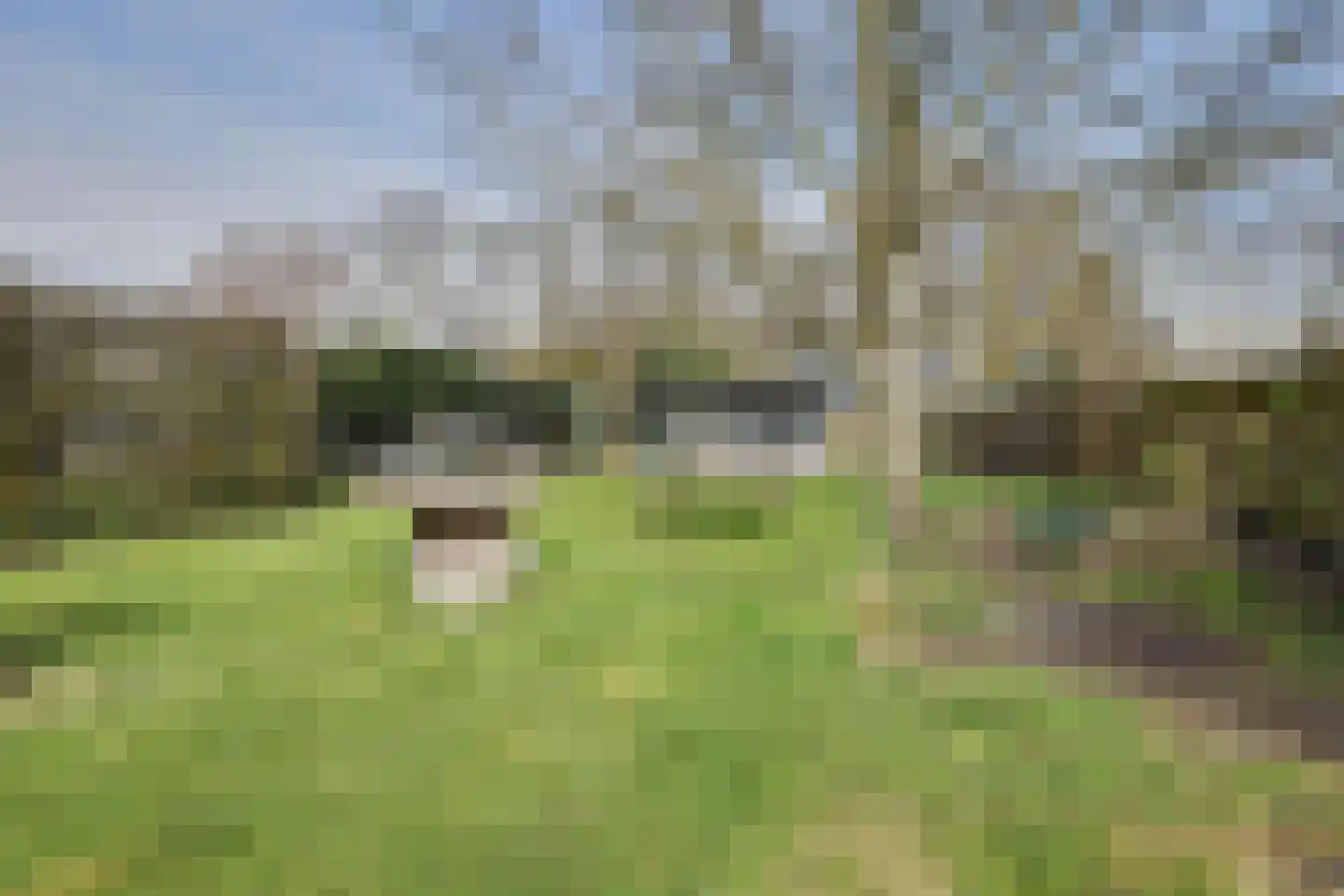 Weebosserweg 12 Bergeijk thumbnail 54
