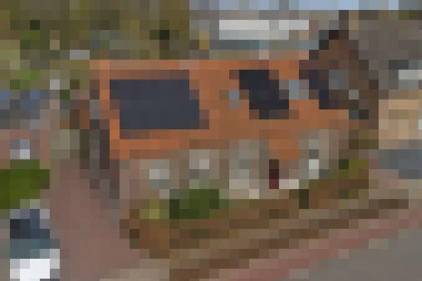 Weebosserweg 12 Bergeijk thumbnail 57