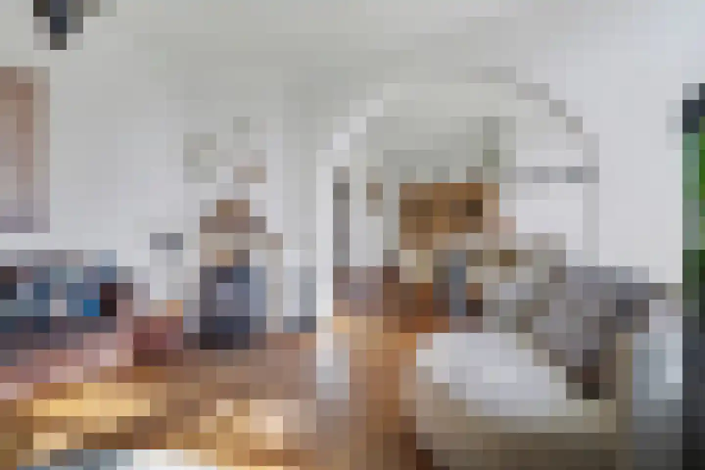 Weebosserweg 12 Bergeijk thumbnail 7
