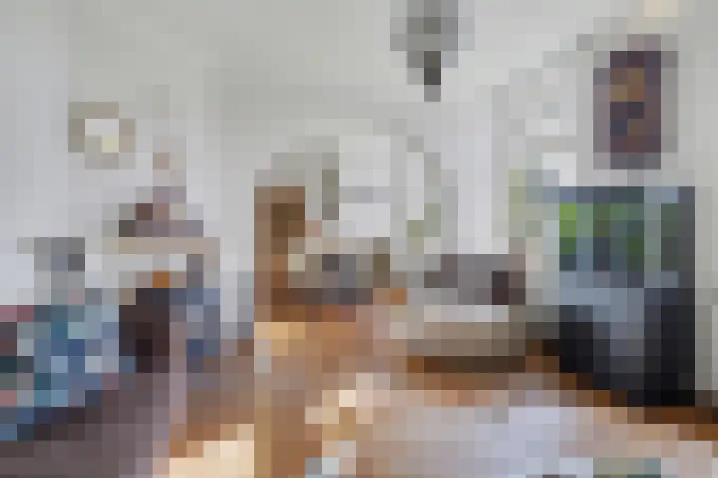 Weebosserweg 12 Bergeijk thumbnail 9