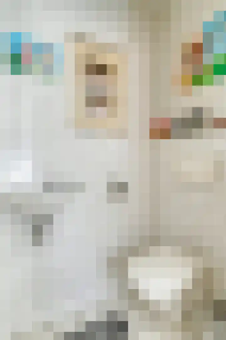 Weebosserweg 7 Bergeijk thumbnail 17