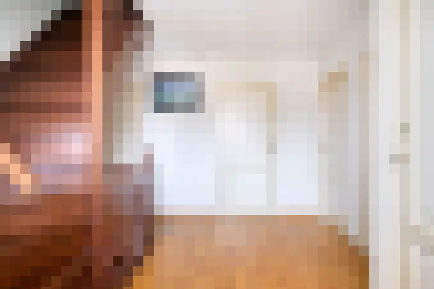 Weebosserweg 7 Bergeijk thumbnail 18