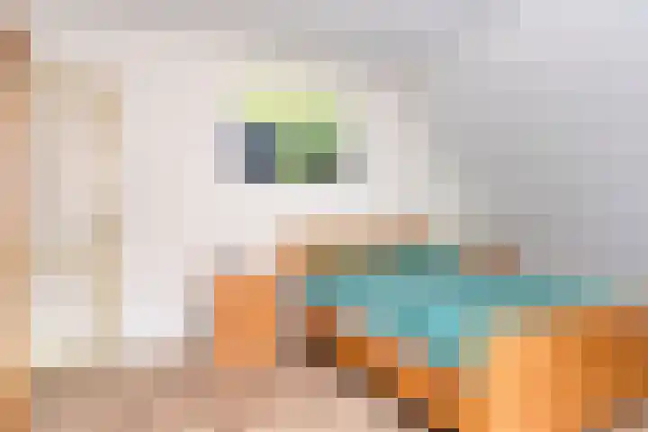 Weebosserweg 7 Bergeijk thumbnail 22