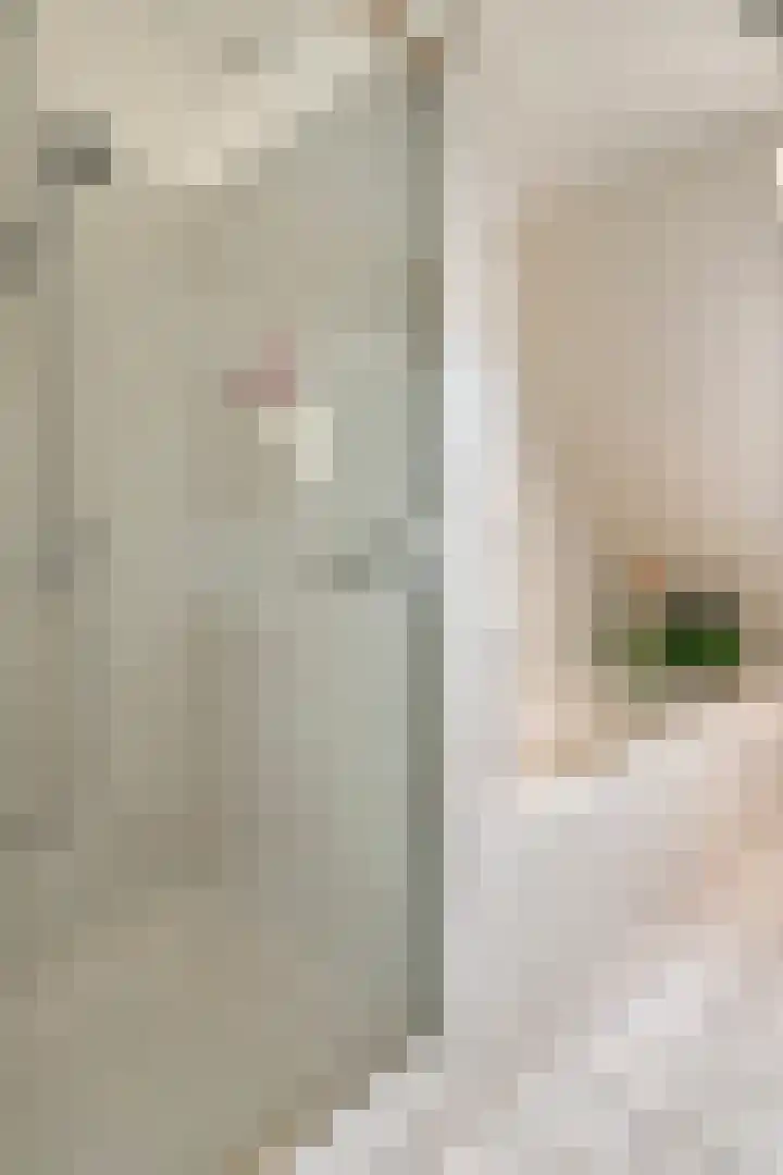 Weebosserweg 7 Bergeijk thumbnail 25