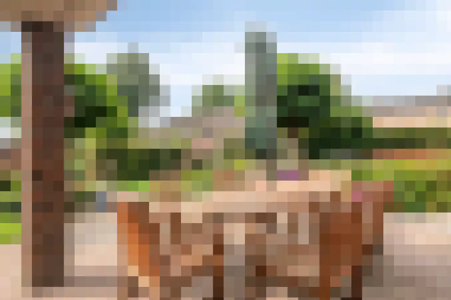Weebosserweg 7 Bergeijk thumbnail 28