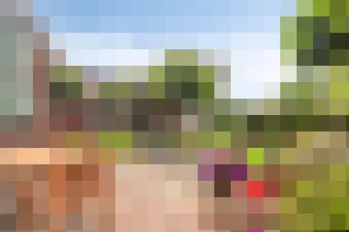 Weebosserweg 7 Bergeijk thumbnail 29