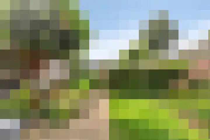 Weebosserweg 7 Bergeijk thumbnail 31