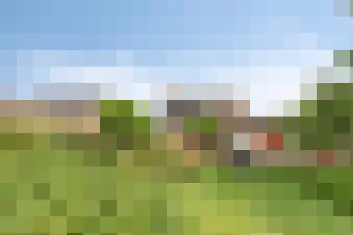 Weebosserweg 7 Bergeijk thumbnail 32