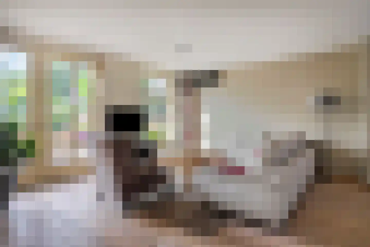 Weebosserweg 7 Bergeijk thumbnail 7