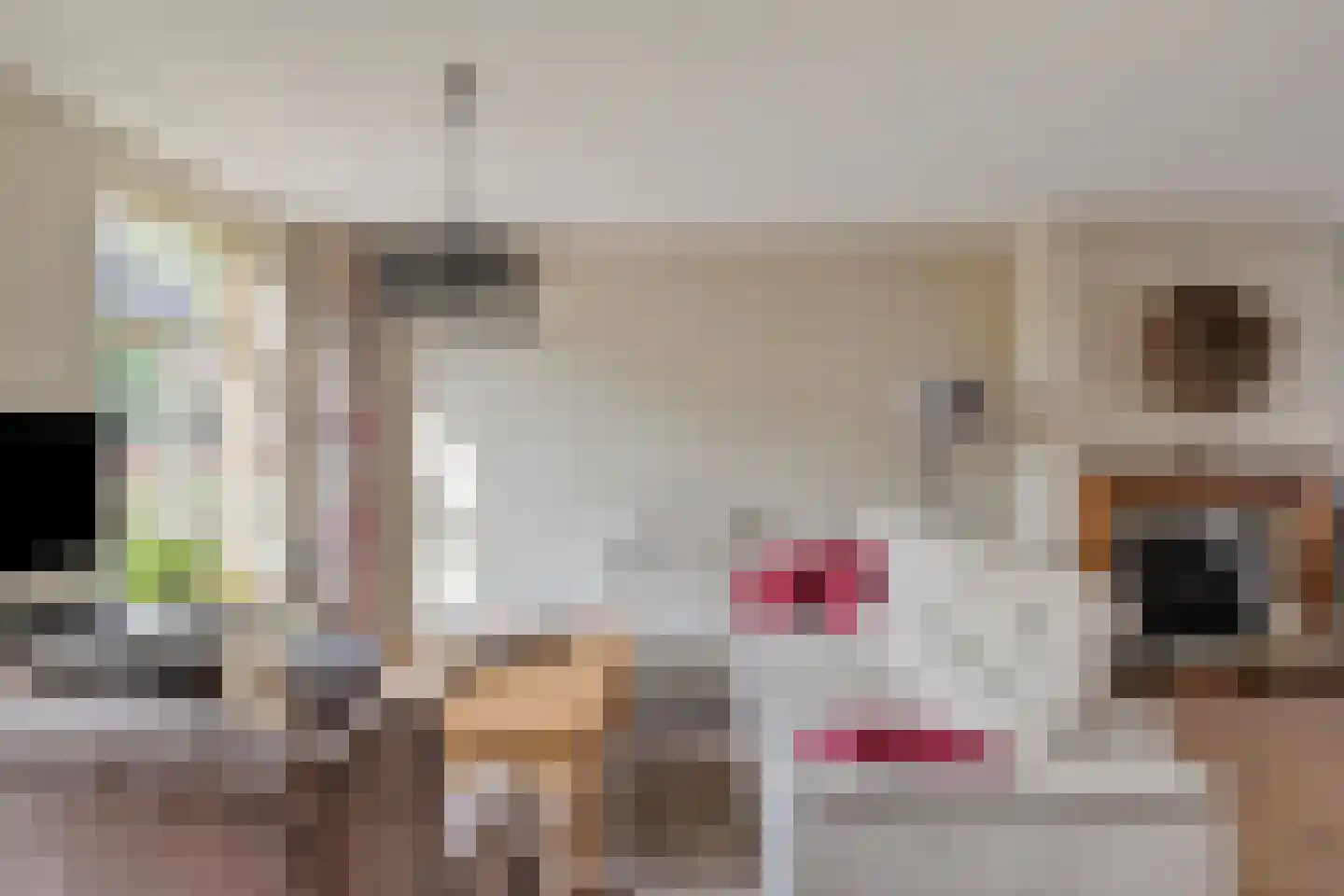 Weebosserweg 7 Bergeijk thumbnail 8