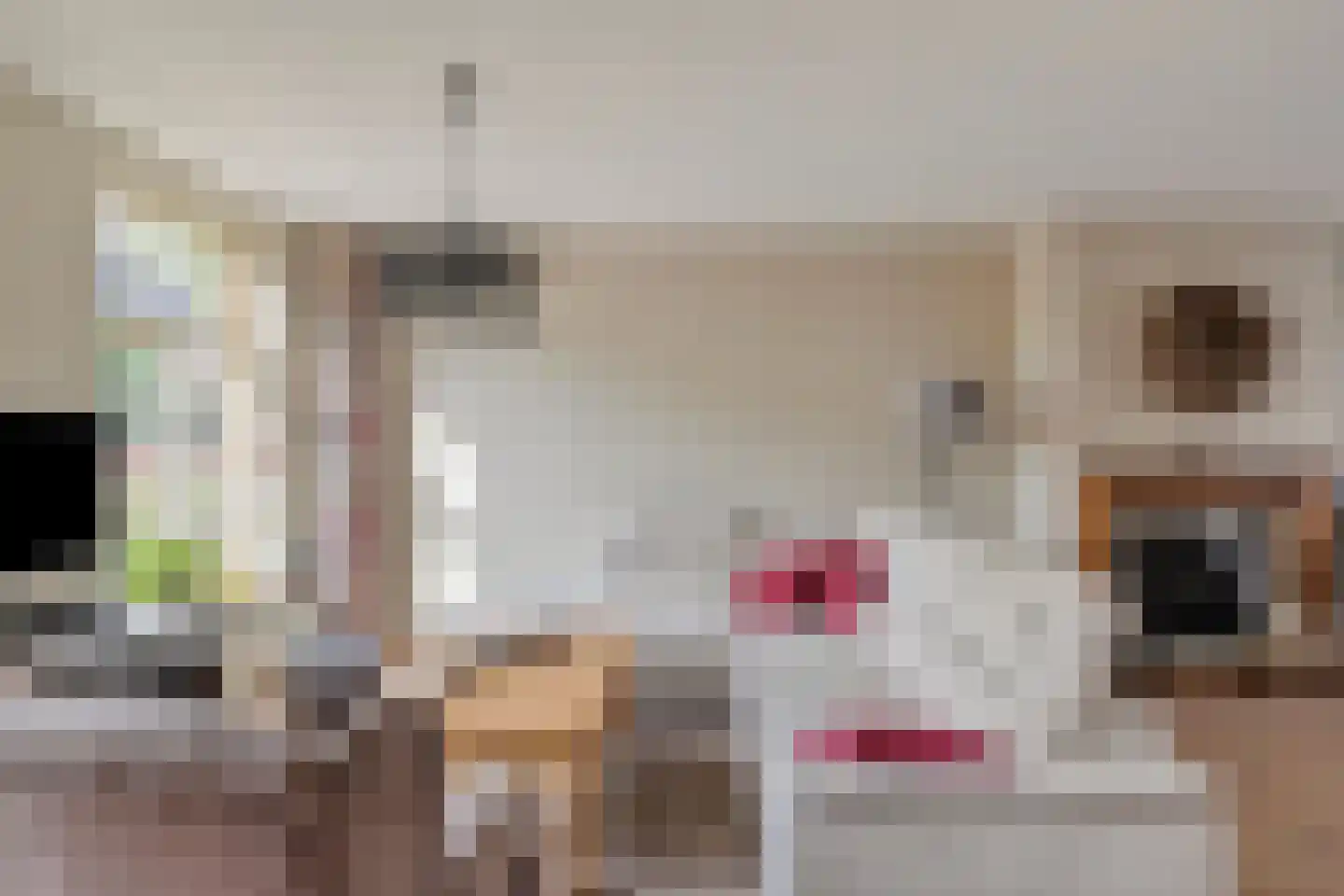 Weebosserweg 7 Bergeijk thumbnail 8