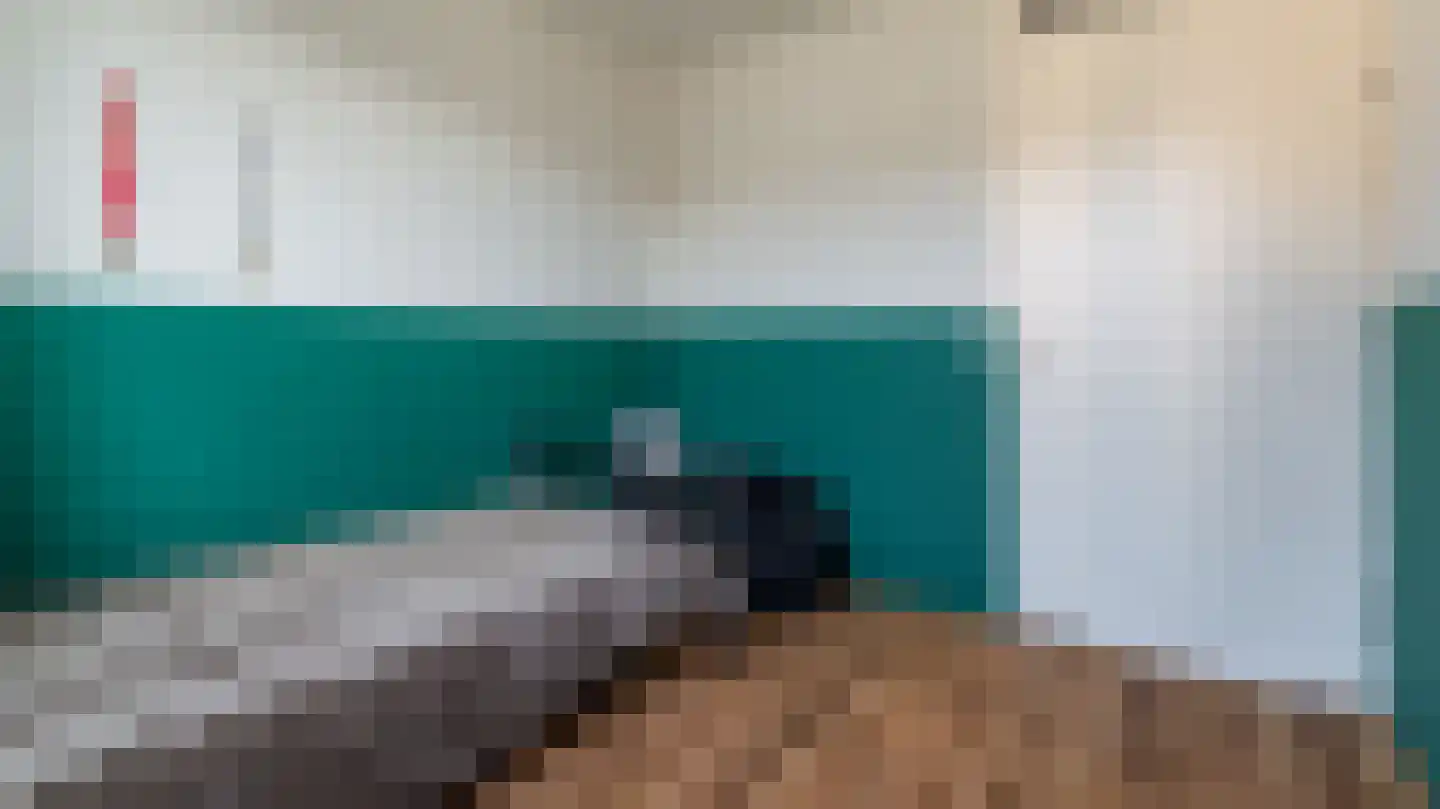 Weefgetouw 19 Almelo thumbnail 20