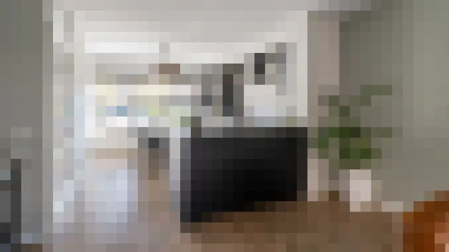 Weefgetouw 19 Almelo thumbnail 9