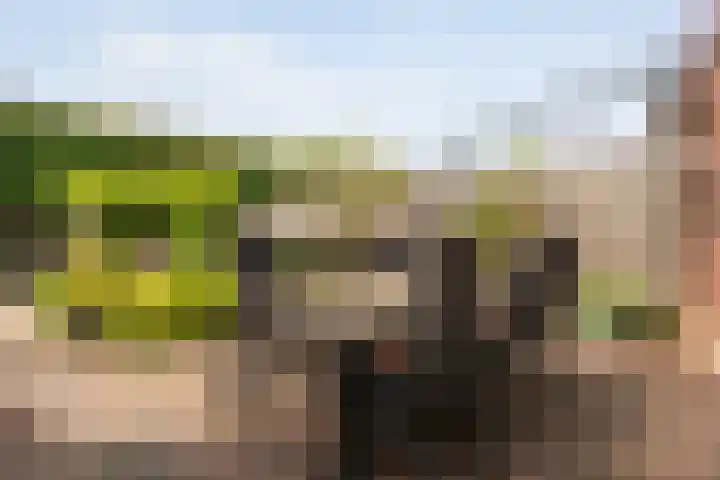 Weefgetouw 39 Almelo thumbnail 37