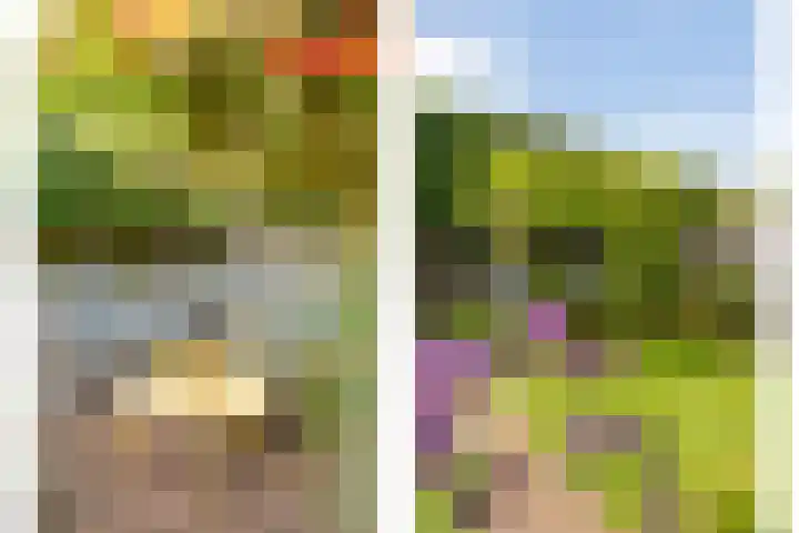 Weefgetouw 39 Almelo thumbnail 38