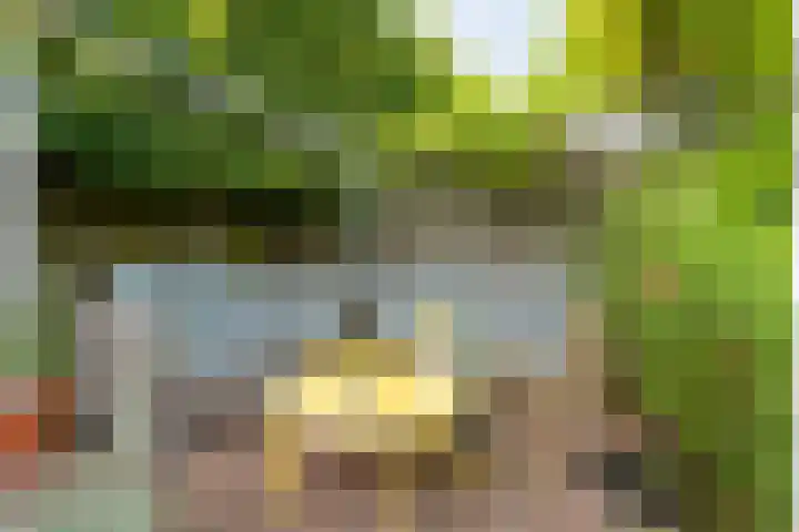 Weefgetouw 39 Almelo thumbnail 39
