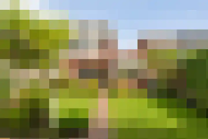 Weefgetouw 39 Almelo thumbnail 41