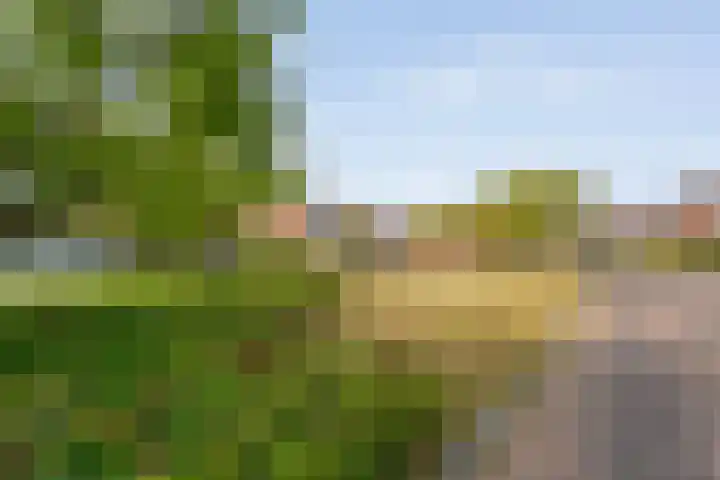 Weefgetouw 39 Almelo thumbnail 42