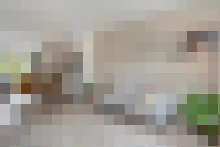 Weefgetouw 39 Almelo thumbnail 8