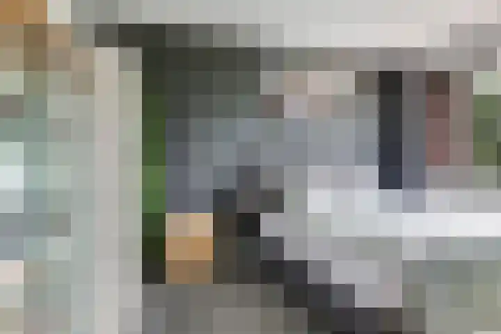 Weefgewichtstraat 116 Nijmegen thumbnail 34