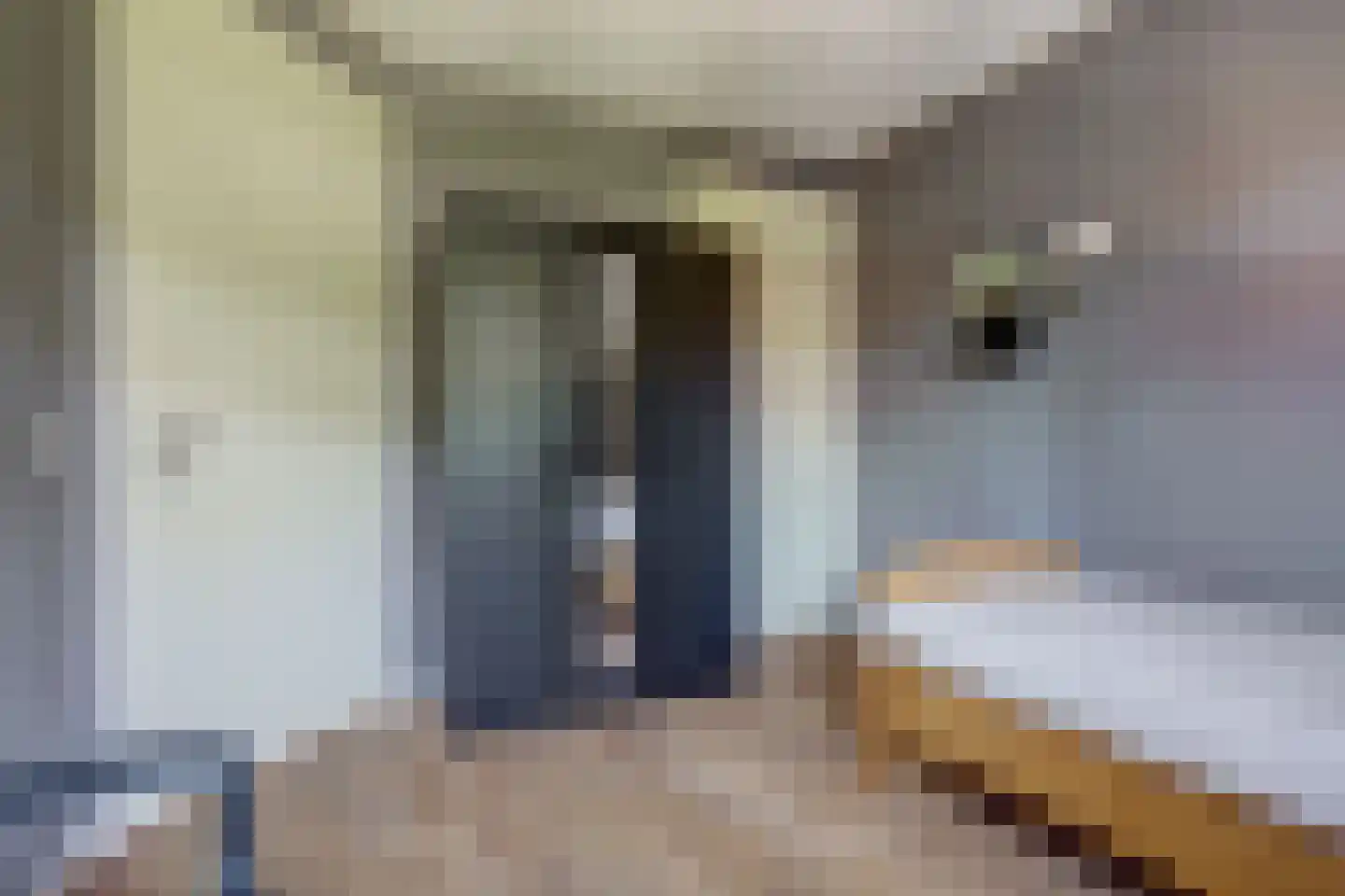 Weefkamer 2 Wierden thumbnail 25