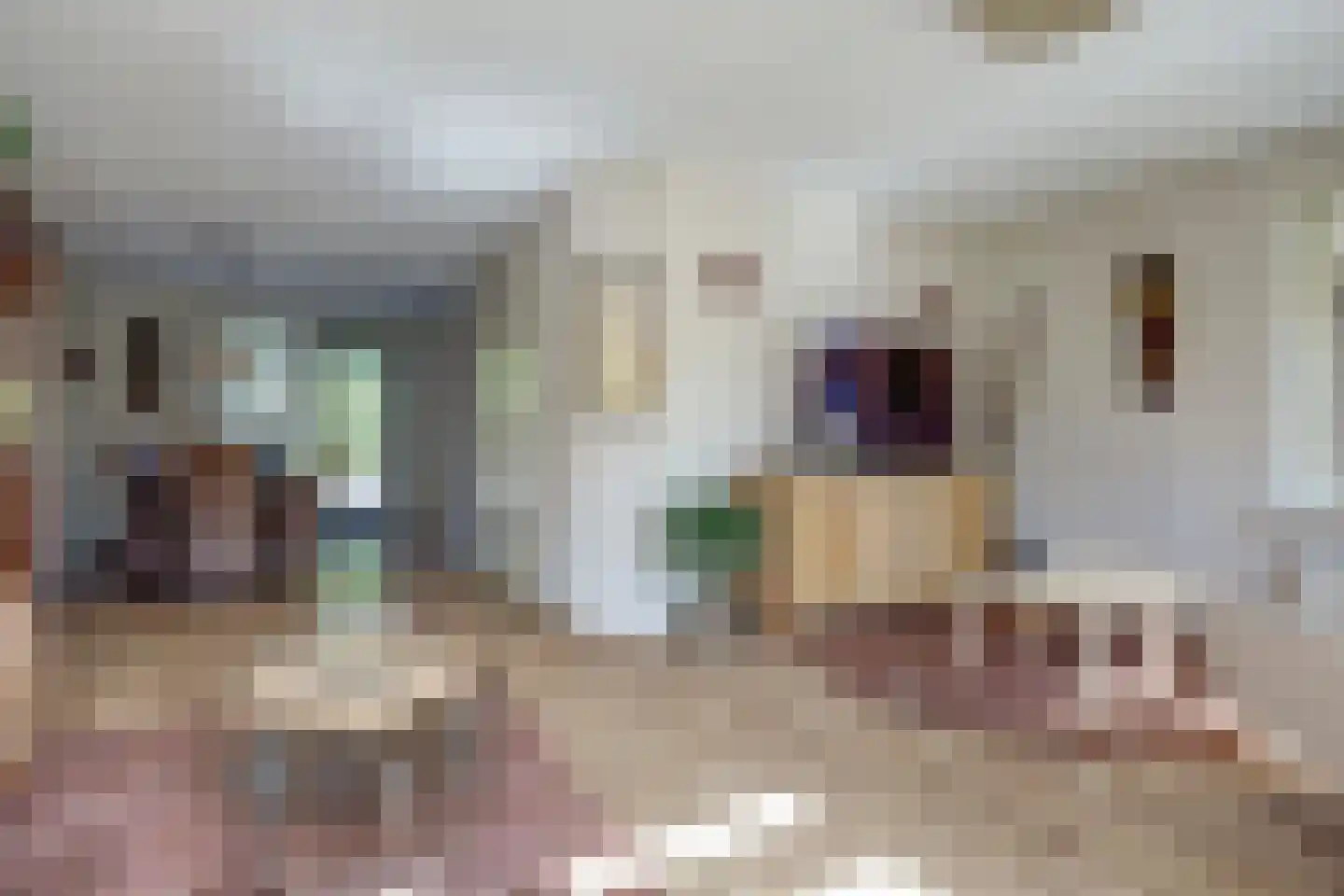 Weefkamer 2 Wierden foto 3