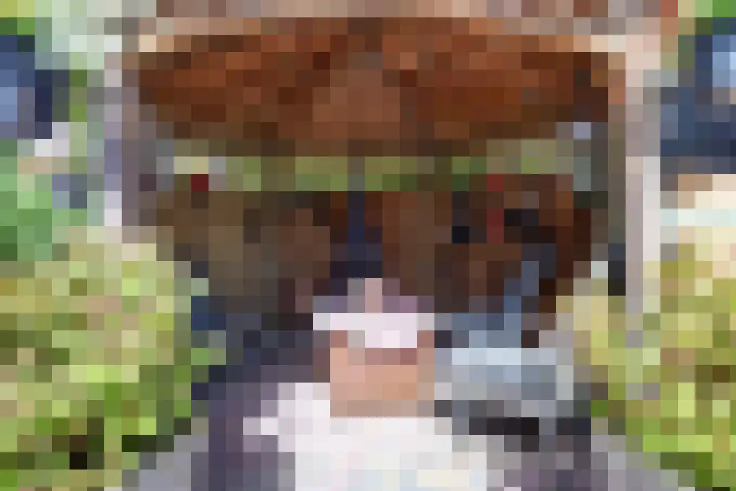 Weefkamer 2 Wierden thumbnail 36