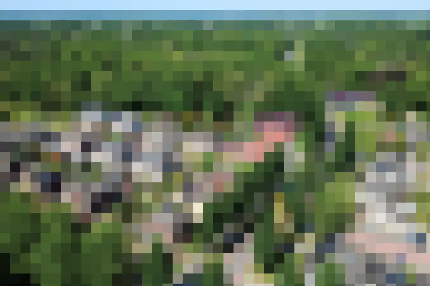 Weefkamer 2 Wierden thumbnail 45