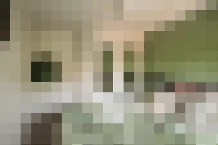 Weefkamer 24 Wierden thumbnail 48