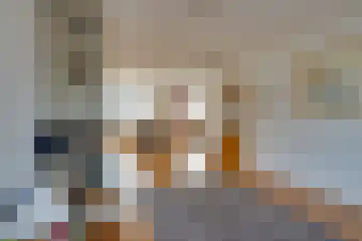 Weefkamer 24 Wierden thumbnail 66