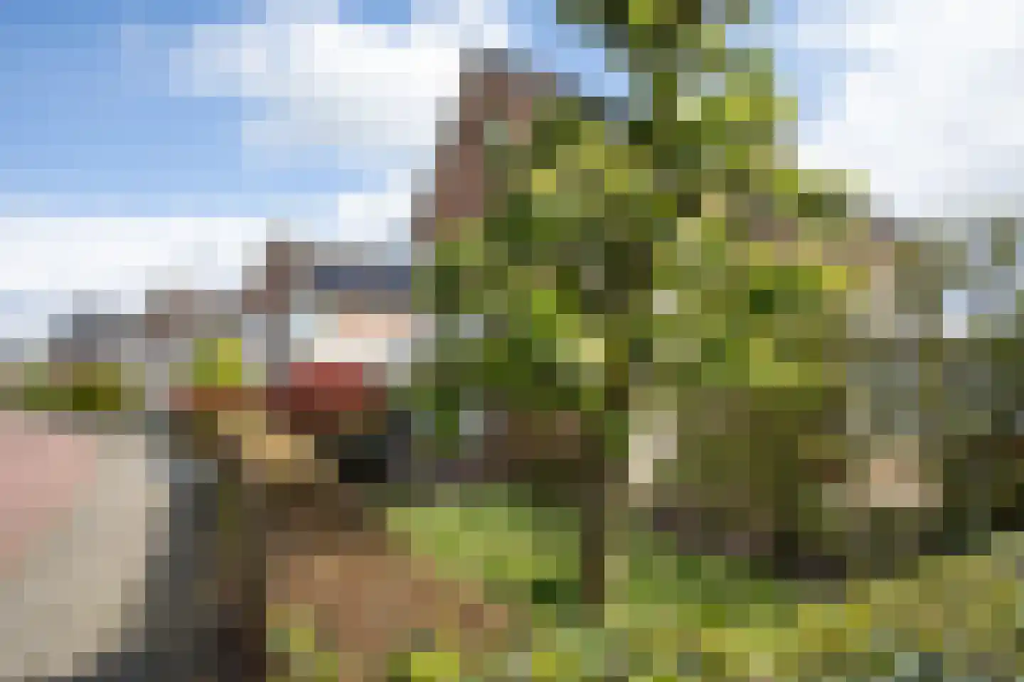 Weefkamer 24 Wierden thumbnail 67