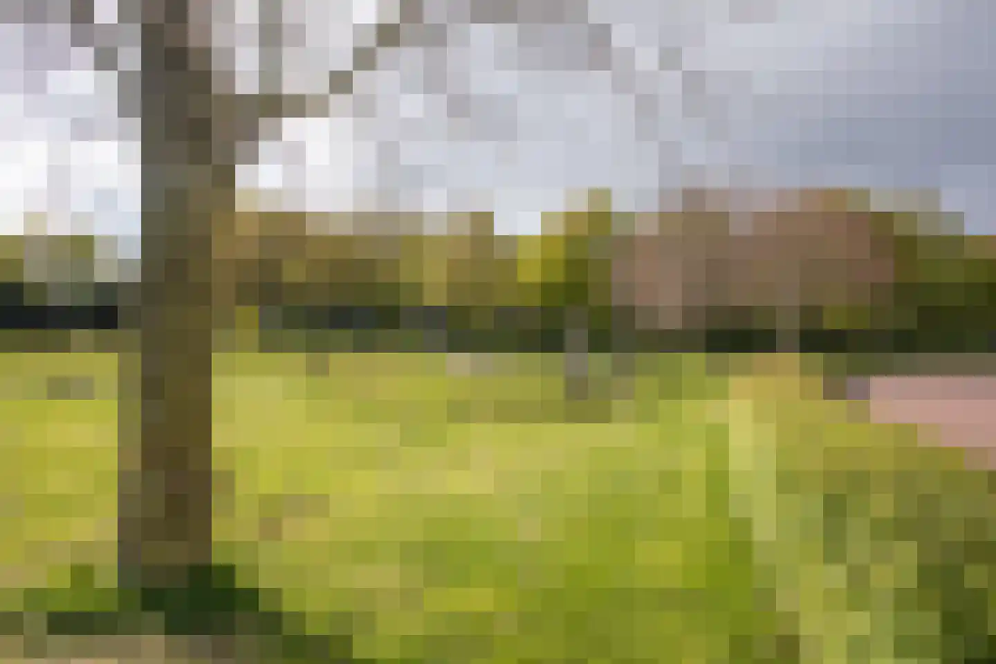 Weefkamer 24 Wierden thumbnail 71