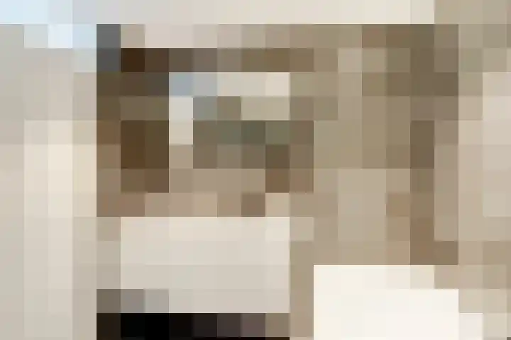 Weefkamer 91 Wierden thumbnail 23