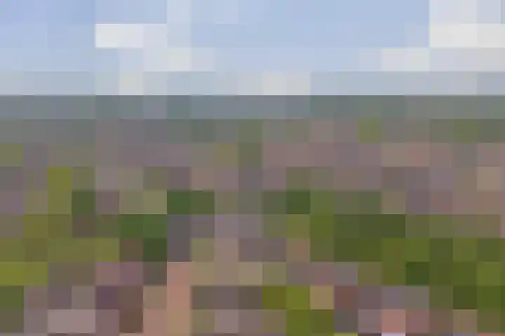 Weefkamer 91 Wierden thumbnail 34