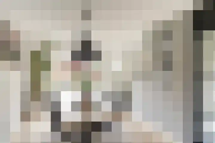 Weefkamer 91 Wierden thumbnail 9