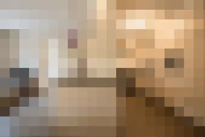 Weefkamer 95 Wierden thumbnail 10