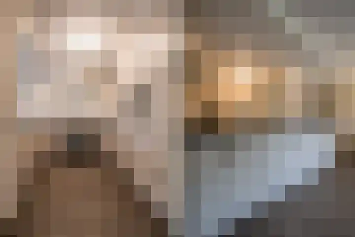 Weefkamer 95 Wierden thumbnail 11