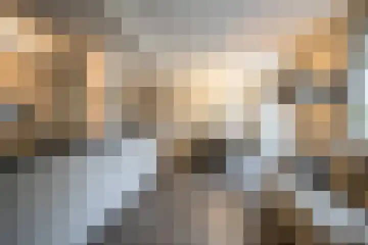 Weefkamer 95 Wierden thumbnail 14