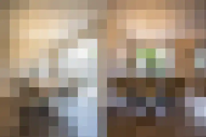 Weefkamer 95 Wierden thumbnail 15