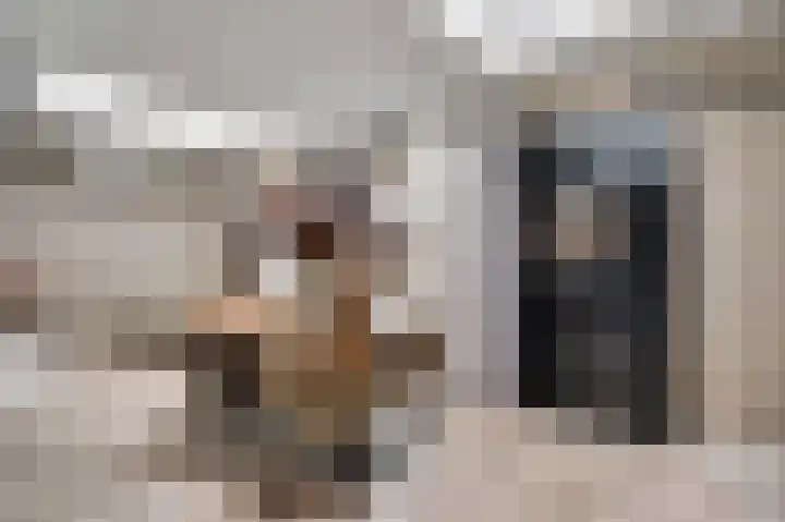 Weefkamer 95 Wierden thumbnail 17