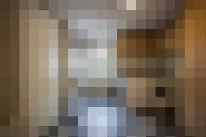 Weefkamer 95 Wierden thumbnail 29