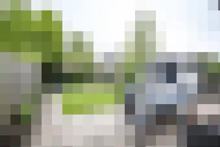 Weefkamer 95 Wierden thumbnail 31