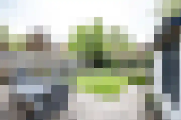 Weefkamer 95 Wierden thumbnail 32