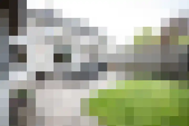 Weefkamer 95 Wierden thumbnail 33